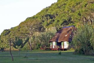Forest Fern chalet